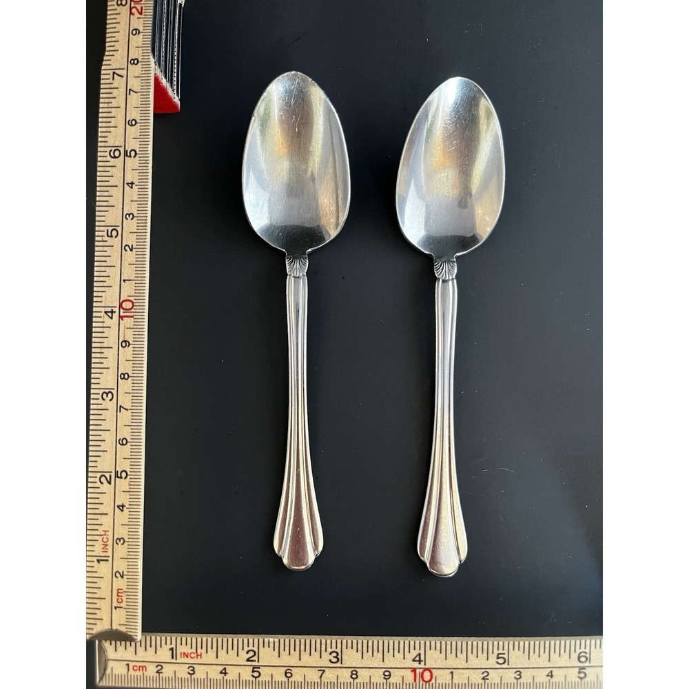 Pfaltzgraff Artesia Glossy Stainless Steel ~ 2 Soup/Tablespoons
